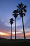 北条海岸で夕日を見る(日本の夕陽100選) #