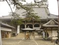 大本山 誕生寺 #