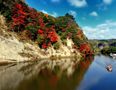 亀山湖の紅葉及び東京大学千葉演習林 #