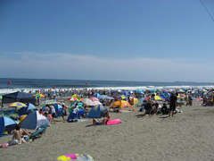 15日は海開き~゚.+:。ヽ(´∀`)ノ゚.+:。 人人