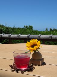 夏のウェルカムドリンク!!